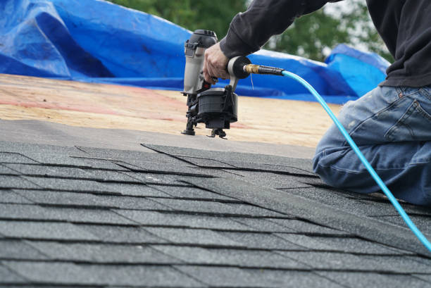 Best Roof Gutter Cleaning  in Park Hills, KY