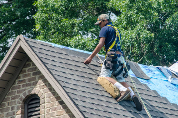 Best Storm Damage Roof Repair  in Park Hills, KY